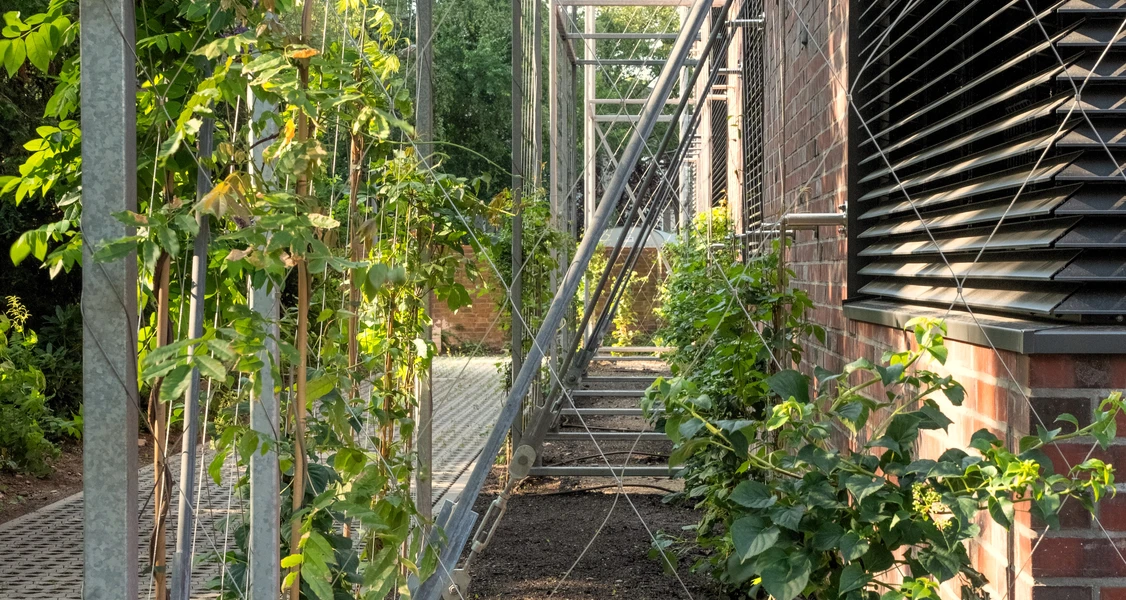 Generalübernehmer Willy Johannes Bau GmbH & Co. KG