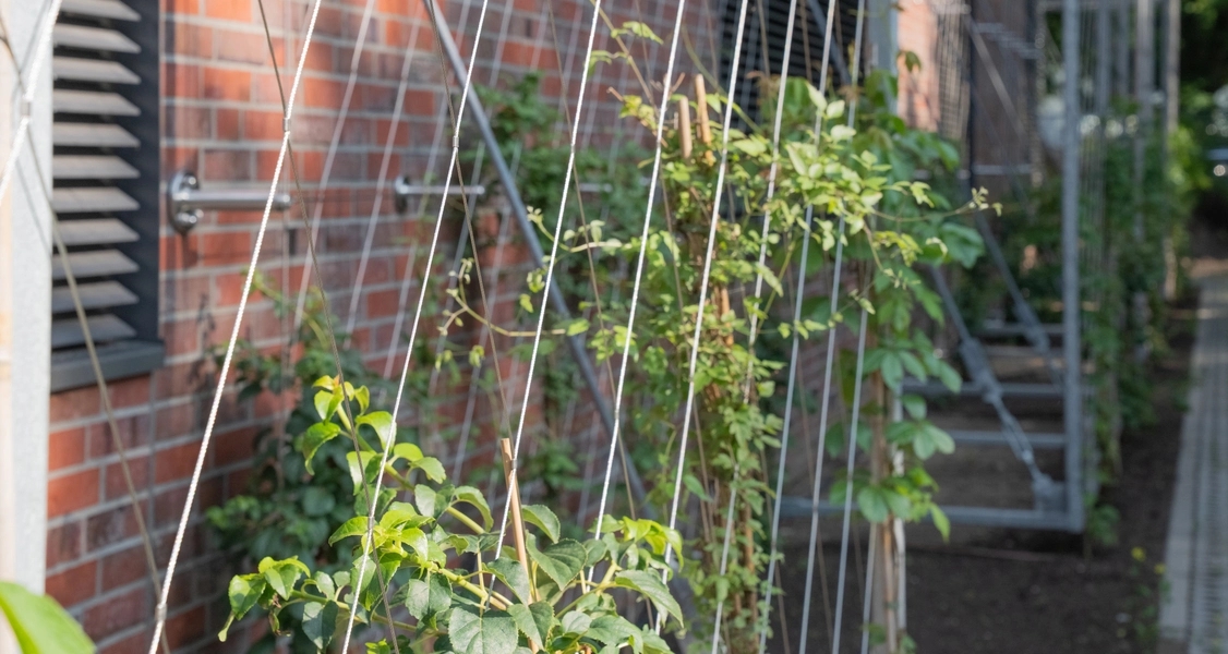 Generalübernehmer Willy Johannes Bau GmbH & Co. KG