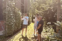 Ein Bild wie aus den Tropen: Lars Gevers und Falk Hildebrandt erläutern die aufwendige Grünfassade. Vier Personen stehen im Garten, eine zeigt mit ausgestrecktem Arm auf eine mit Kletterpflanzen bewachsene Wand
